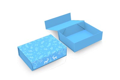 Collapsible Rigid Box Design and Artwork