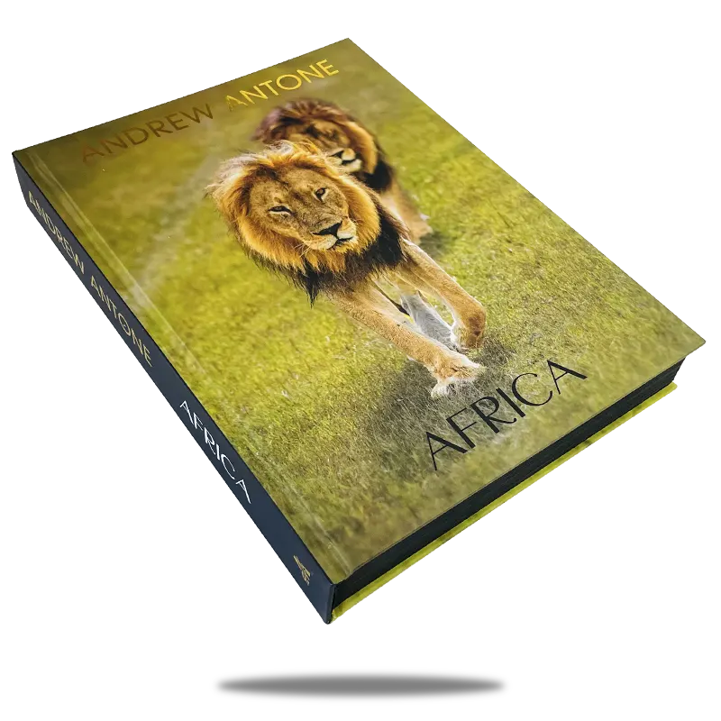 Large Photography Book Printing