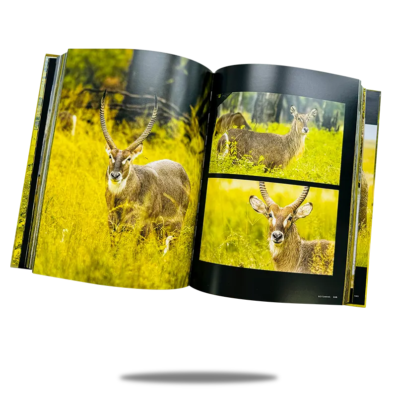 Photography Book Printing Service