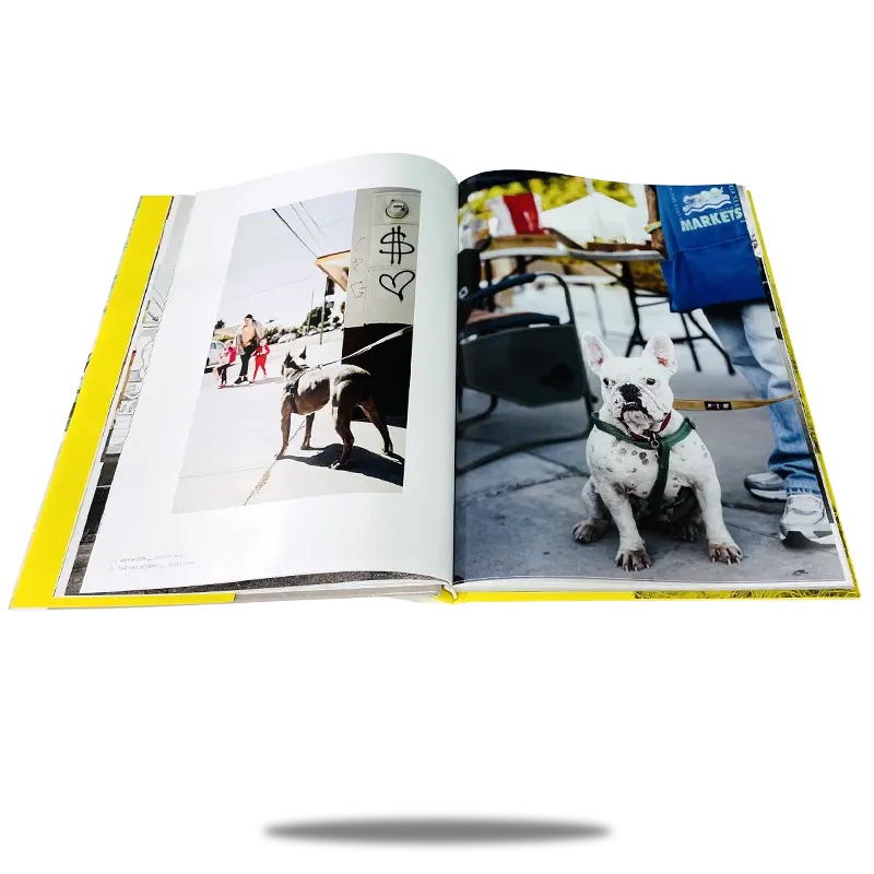 bulk photo book printing