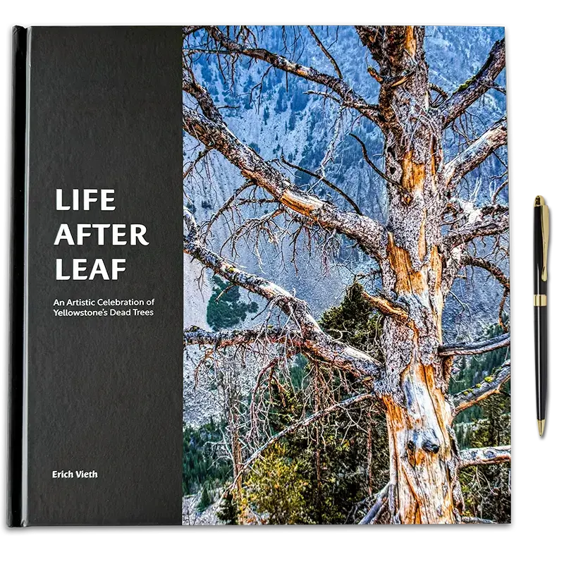 large format photo book printing