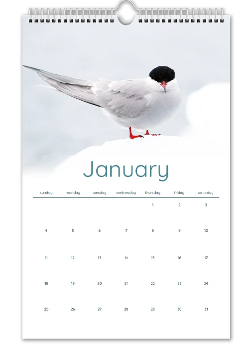 Calendar_2026_11x17inch_template 1